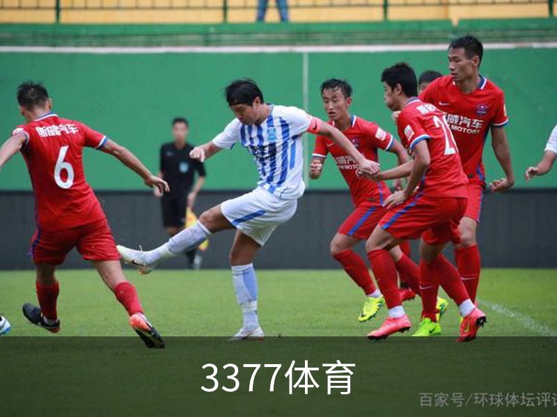 了解3377体育